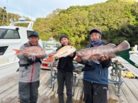 【タイラバ】炸裂！新色海毛虫カーリー 志摩沖で高級魚連発