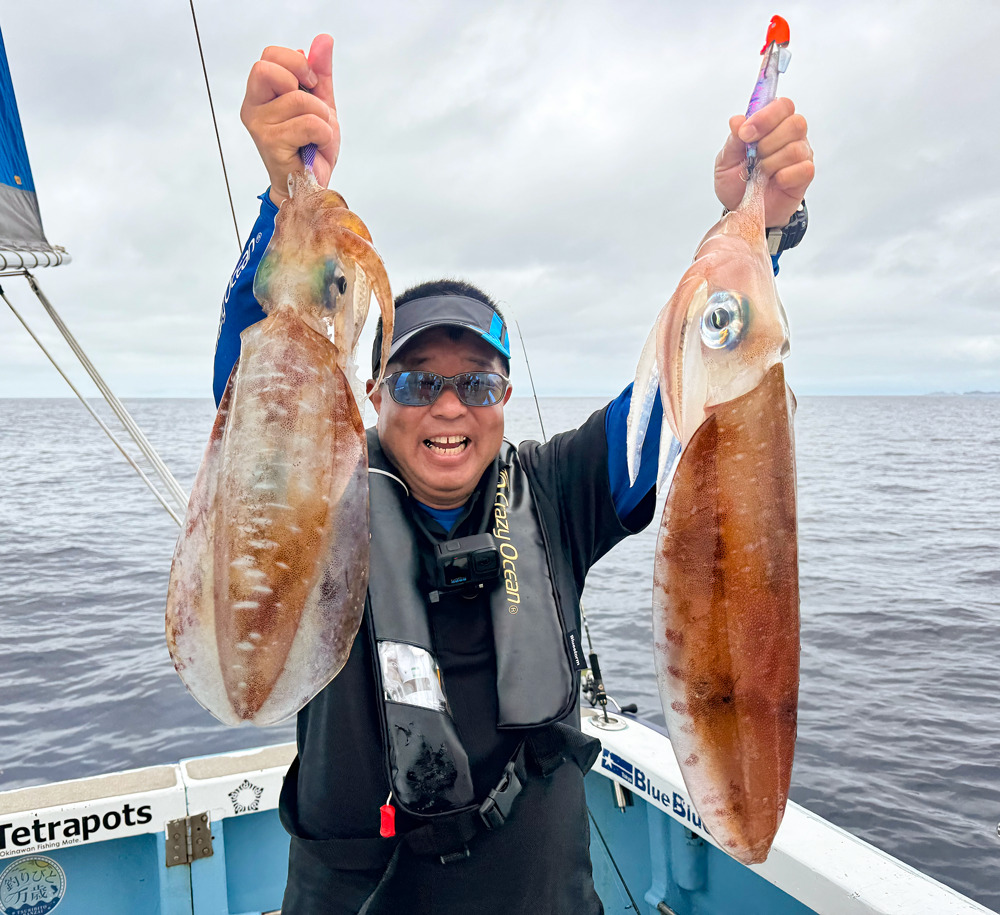 【ティップラン】1個のエギで２キロオーバーが２ハイ釣れる！